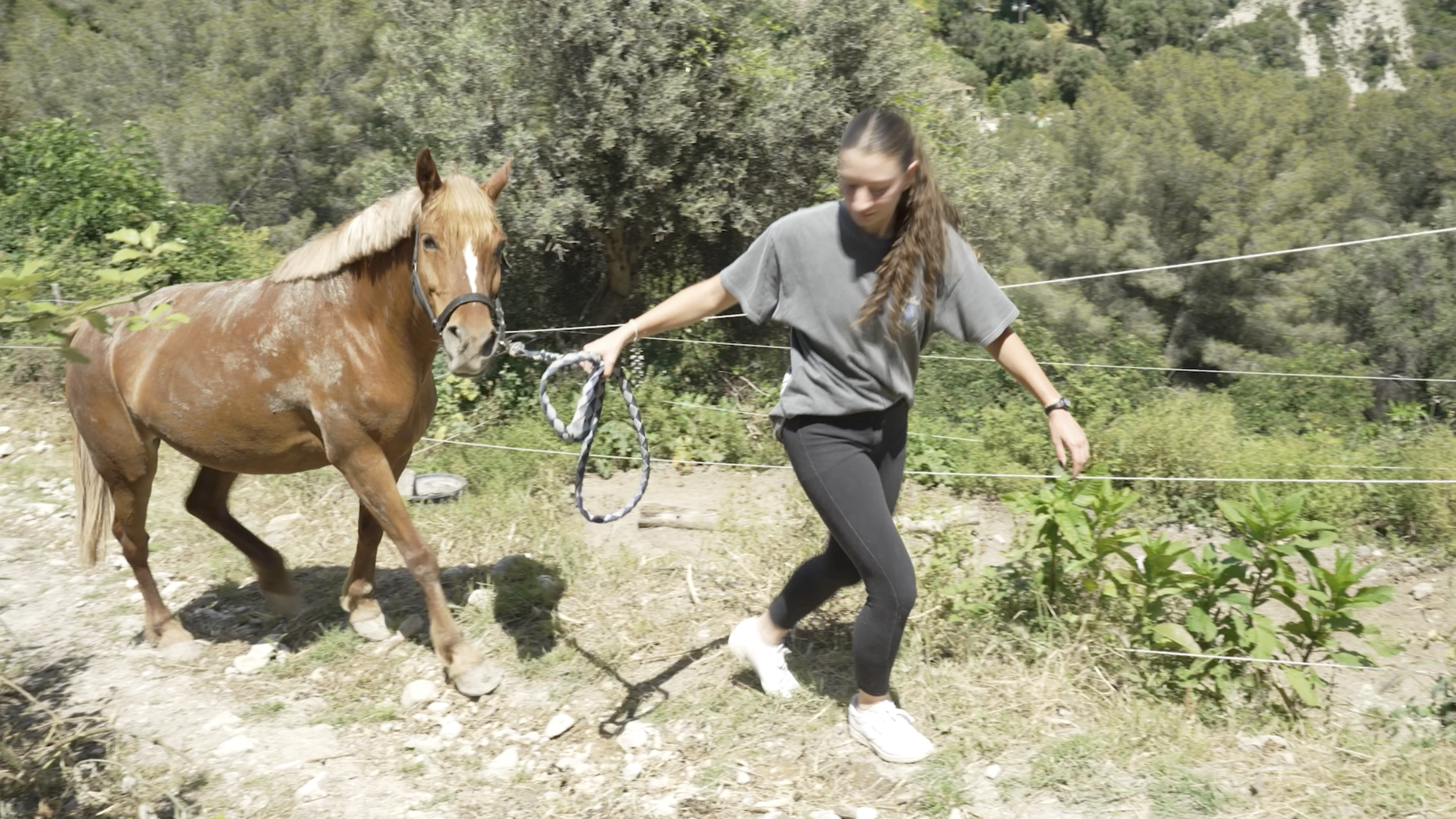 Centre Equestre Monti